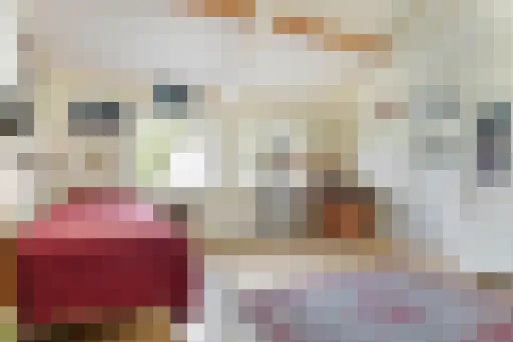 De Wassenaarse Slag 2 Wassenaar thumbnail 55