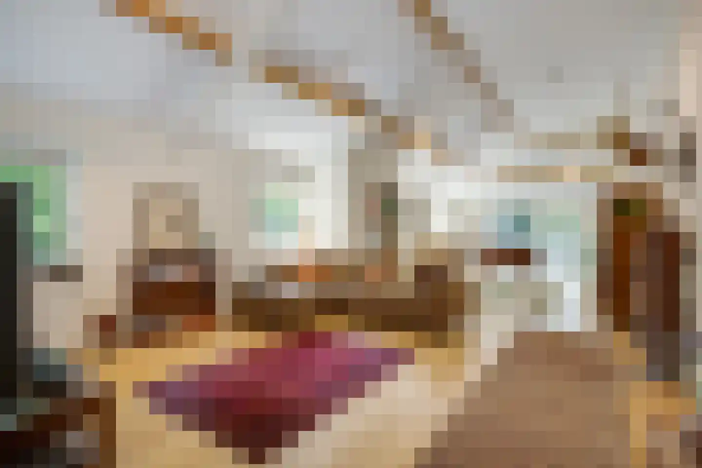 De Wassenaarse Slag 2 Wassenaar thumbnail 58