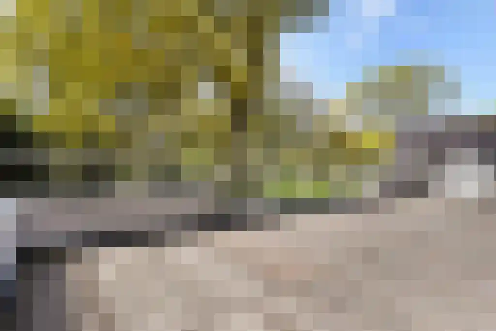 De Wassenaarse Slag 2 Wassenaar thumbnail 60