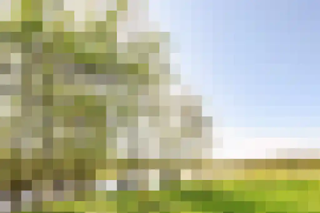 De Wassenaarse Slag 2 Wassenaar thumbnail 63
