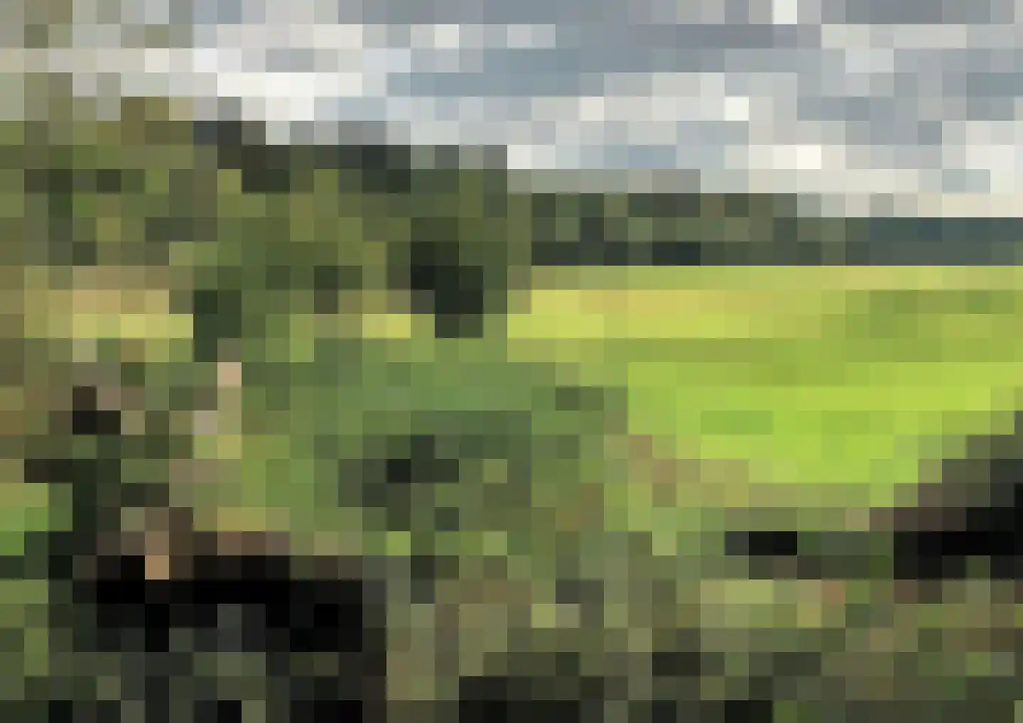 De Wasserij 13 Renkum thumbnail 7