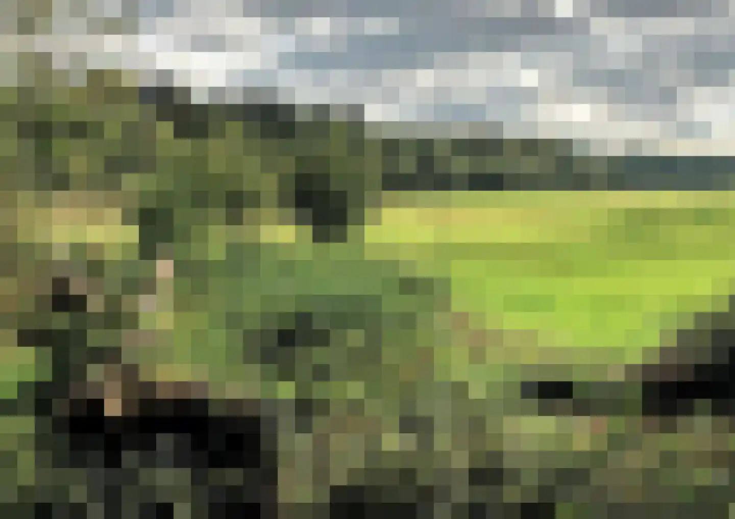 De Wasserij 15 Renkum thumbnail 6