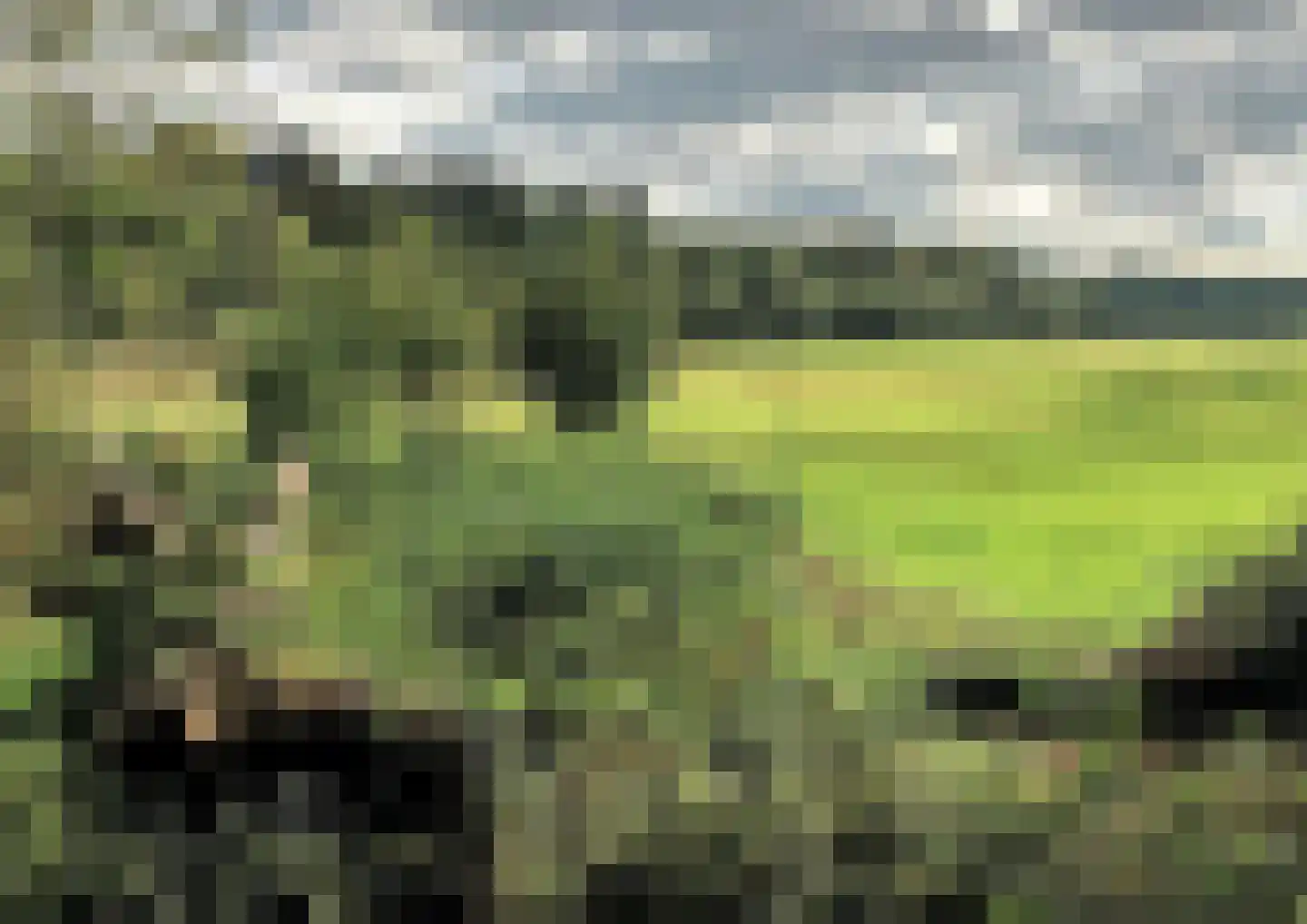 De Wasserij 5 Renkum thumbnail 7