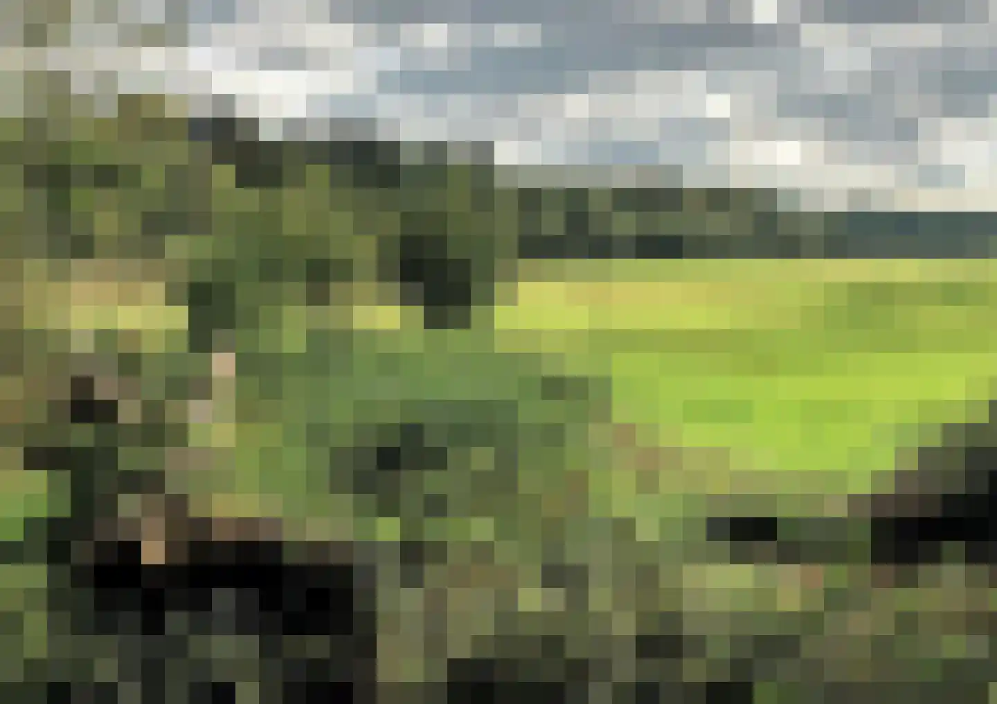 De Wasserij 6 Renkum thumbnail 7