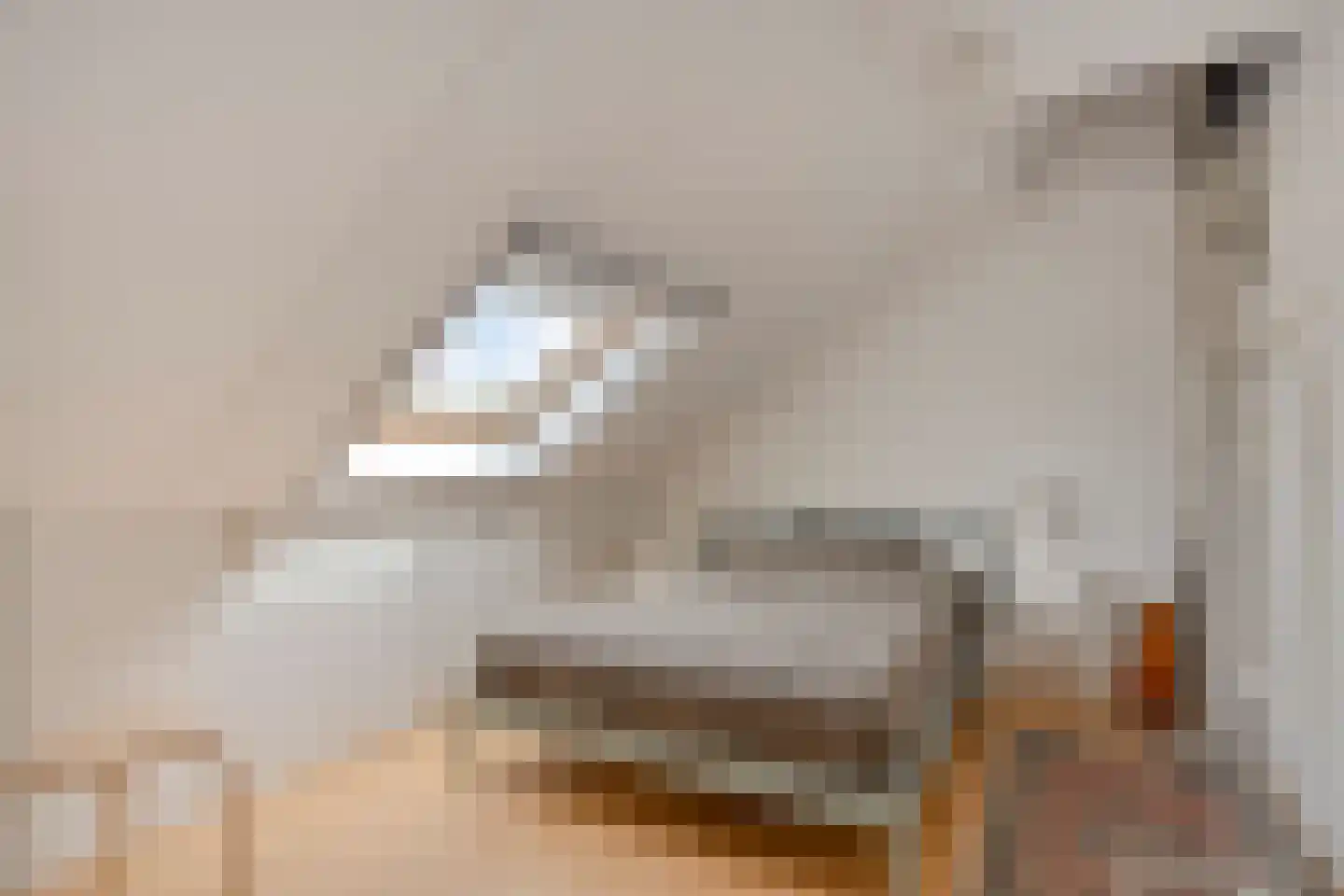 De Waterdief 20 Uitgeest thumbnail 26