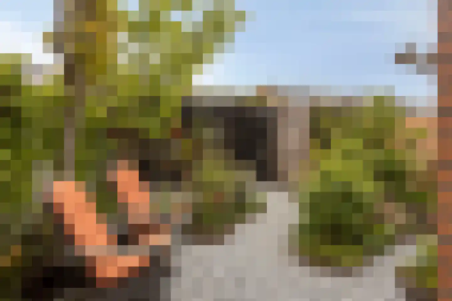 De Waterdief 20 Uitgeest thumbnail 28