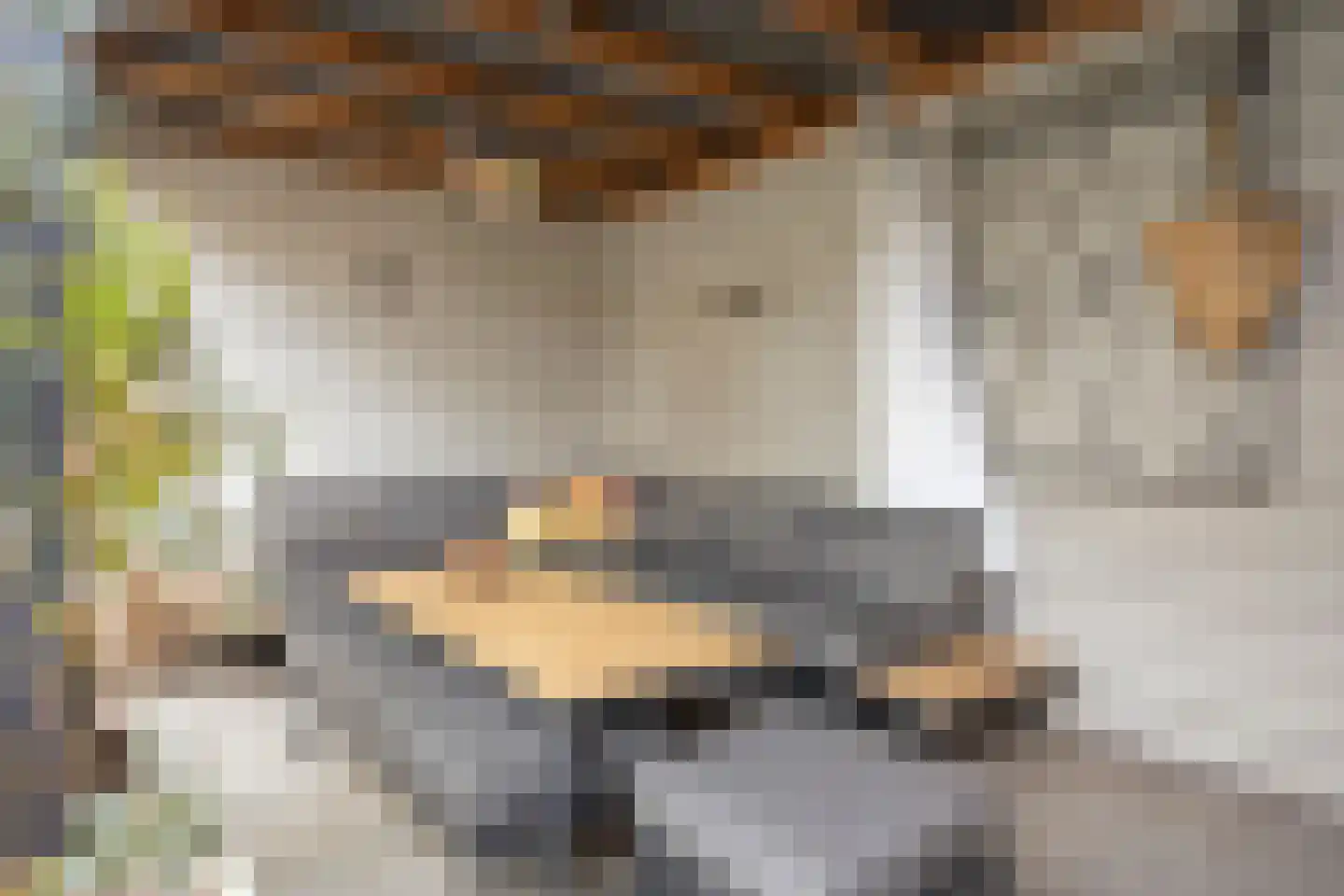 De Waterdief 20 Uitgeest thumbnail 32