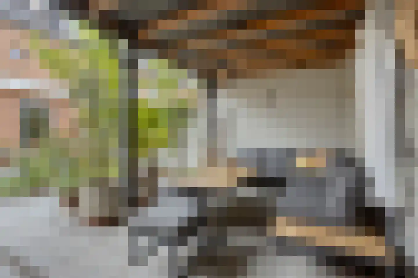 De Waterdief 20 Uitgeest thumbnail 33