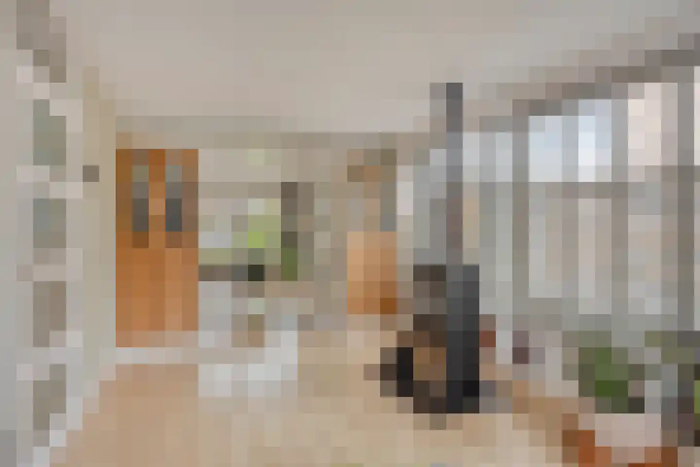 De Waterdief 20 Uitgeest thumbnail 7