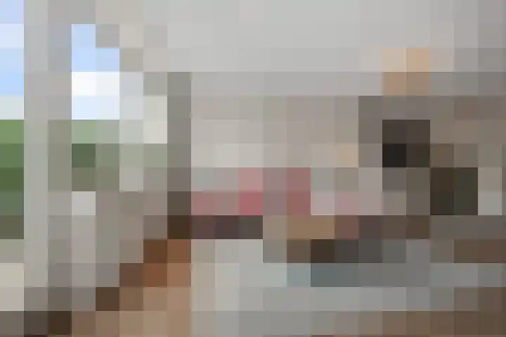 De Waterdief 27 Uitgeest thumbnail 10
