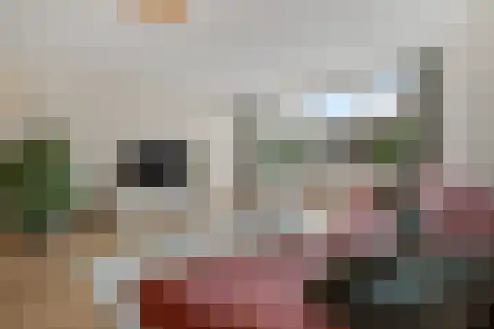 De Waterdief 27 Uitgeest thumbnail 11
