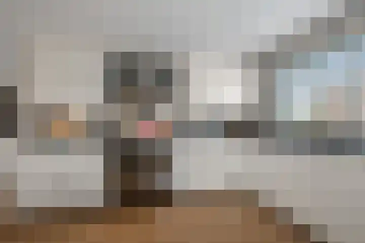 De Waterdief 27 Uitgeest thumbnail 17