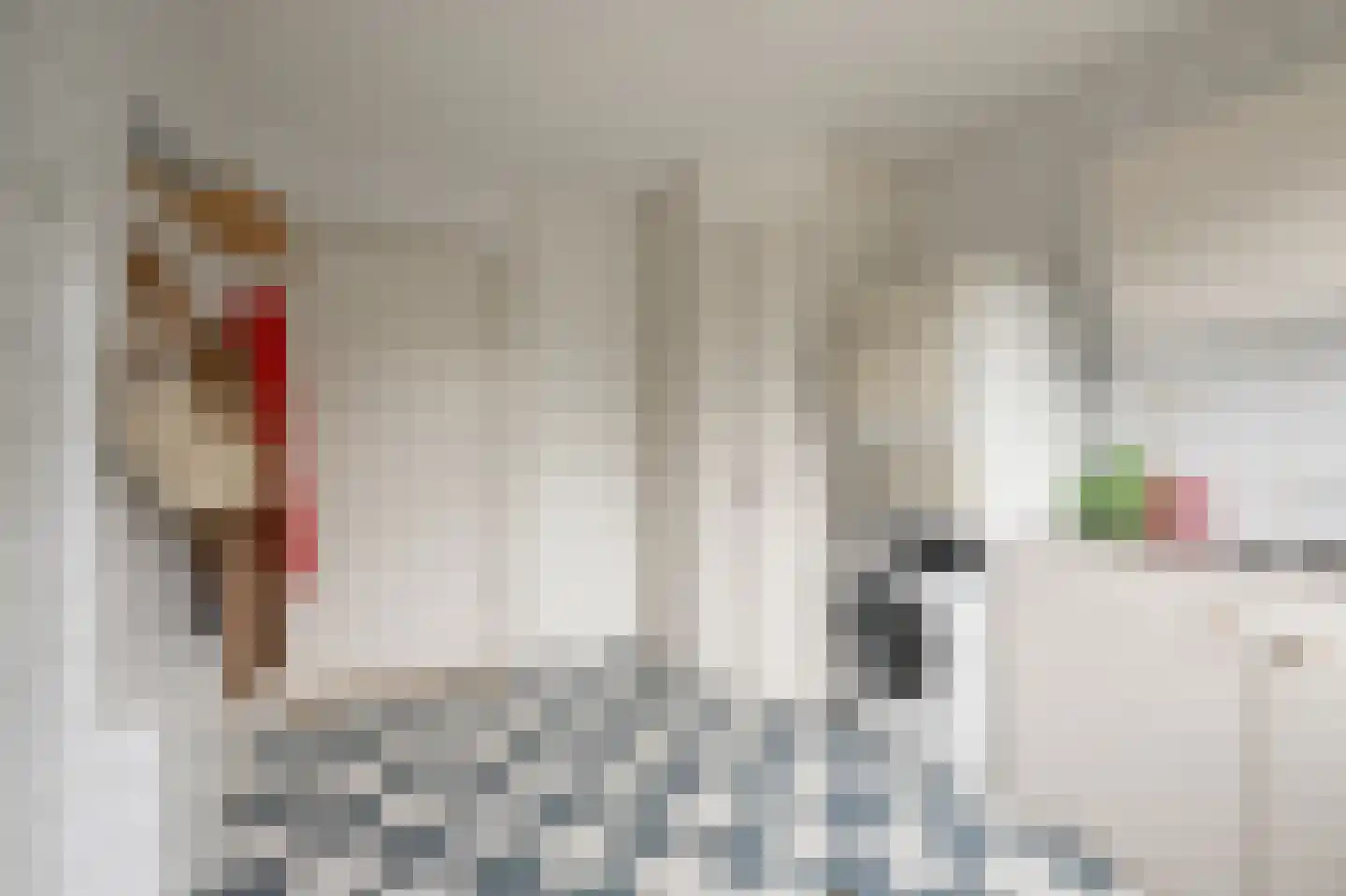 De Waterdief 27 Uitgeest thumbnail 18