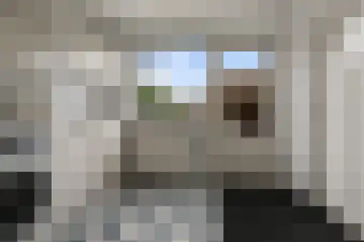De Waterdief 27 Uitgeest thumbnail 18