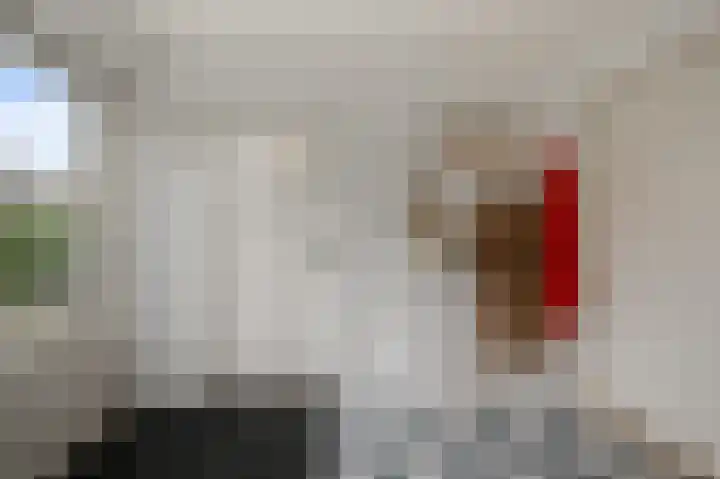 De Waterdief 27 Uitgeest thumbnail 19