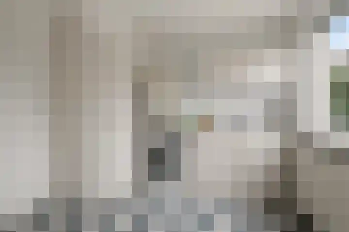 De Waterdief 27 Uitgeest thumbnail 20