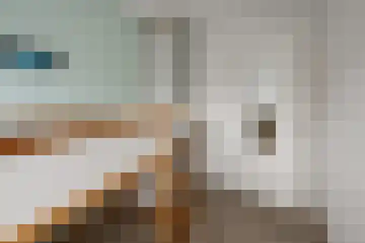 De Waterdief 27 Uitgeest thumbnail 30