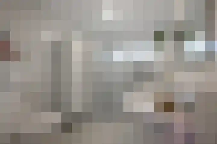 De Waterdief 27 Uitgeest thumbnail 31
