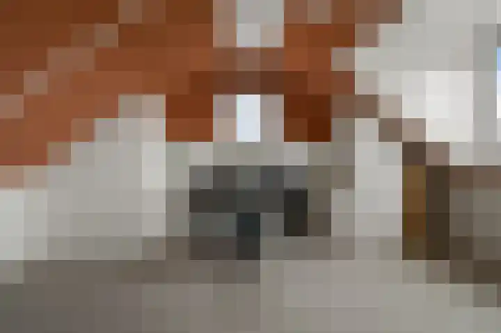 De Waterdief 27 Uitgeest thumbnail 35