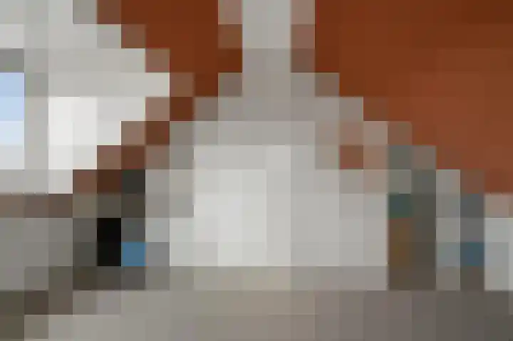 De Waterdief 27 Uitgeest thumbnail 36