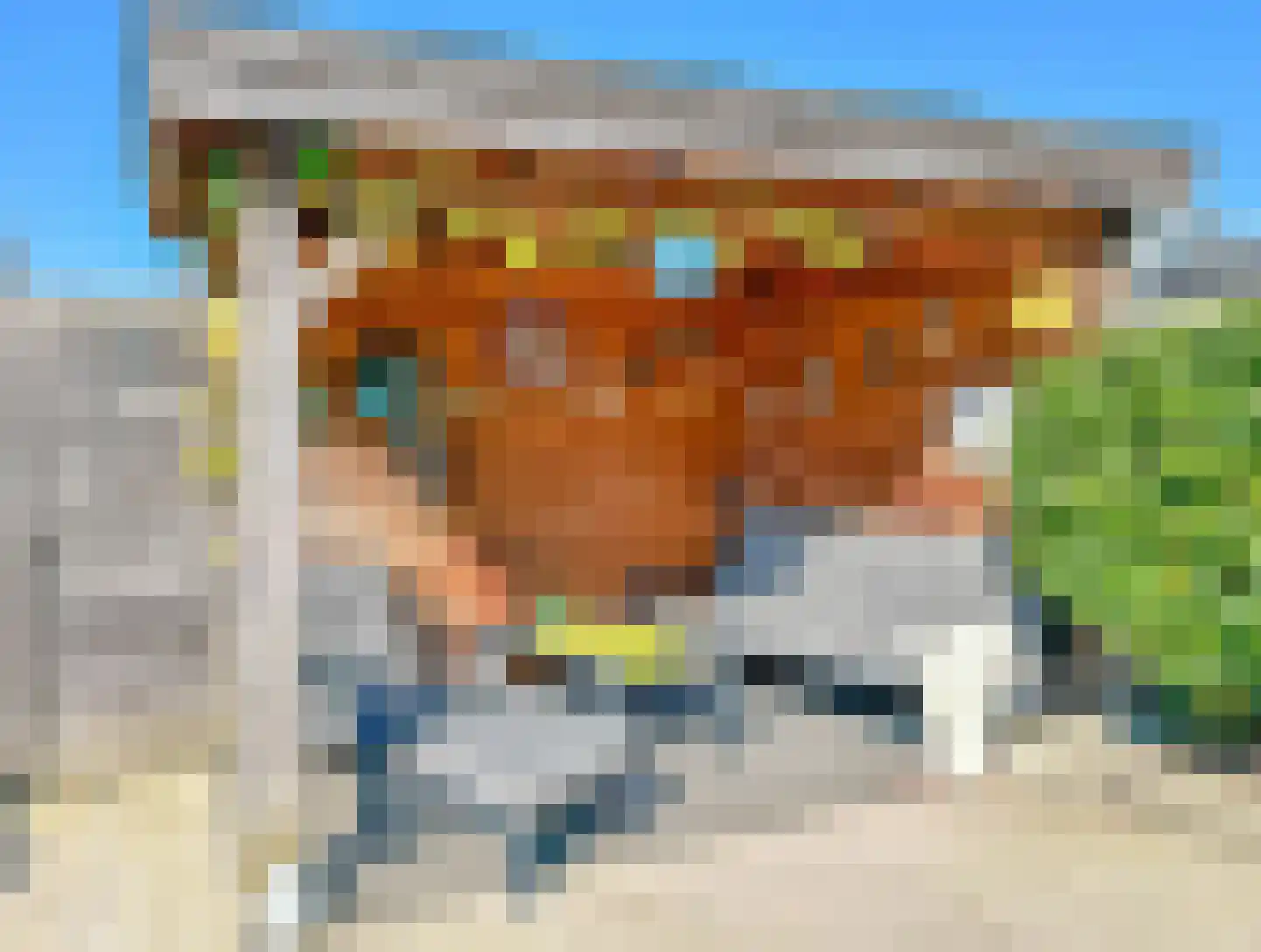 De Waterdief 27 Uitgeest thumbnail 36