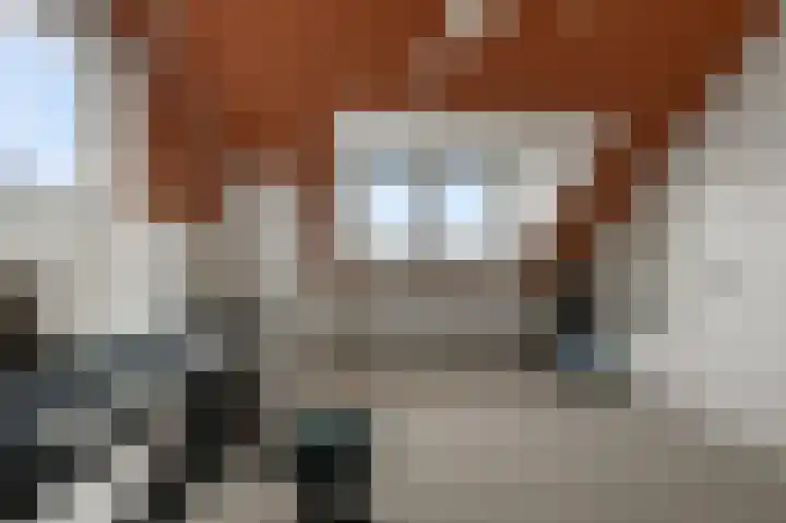 De Waterdief 27 Uitgeest thumbnail 37