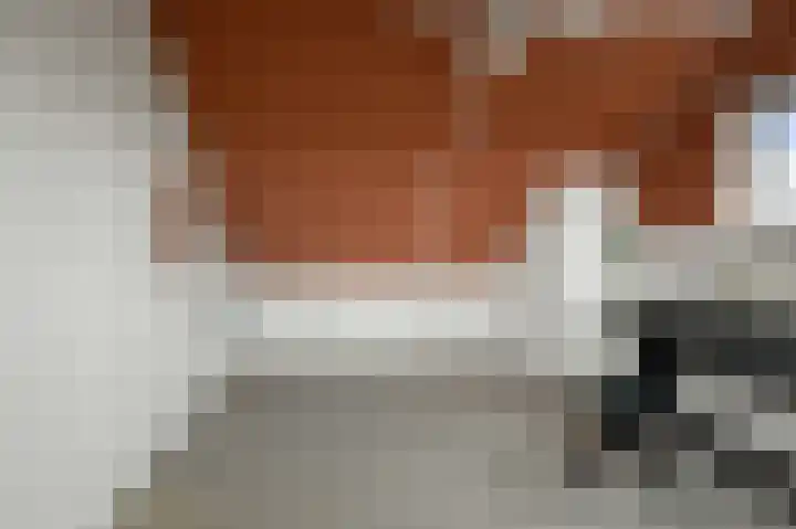 De Waterdief 27 Uitgeest thumbnail 38