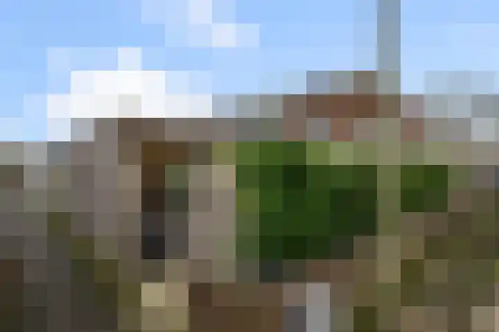 De Waterdief 27 Uitgeest thumbnail 44