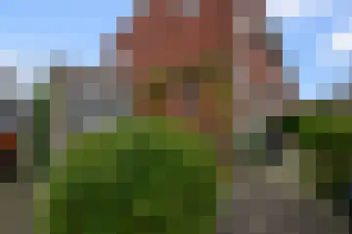 De Waterdief 27 Uitgeest thumbnail 6