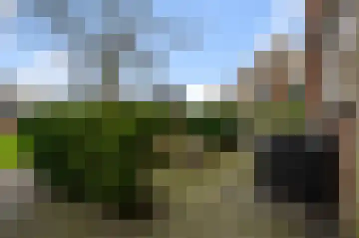 De Waterdief 27 Uitgeest thumbnail 7