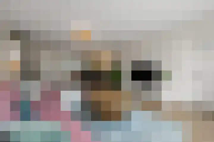 De Waterdief 27 Uitgeest thumbnail 8