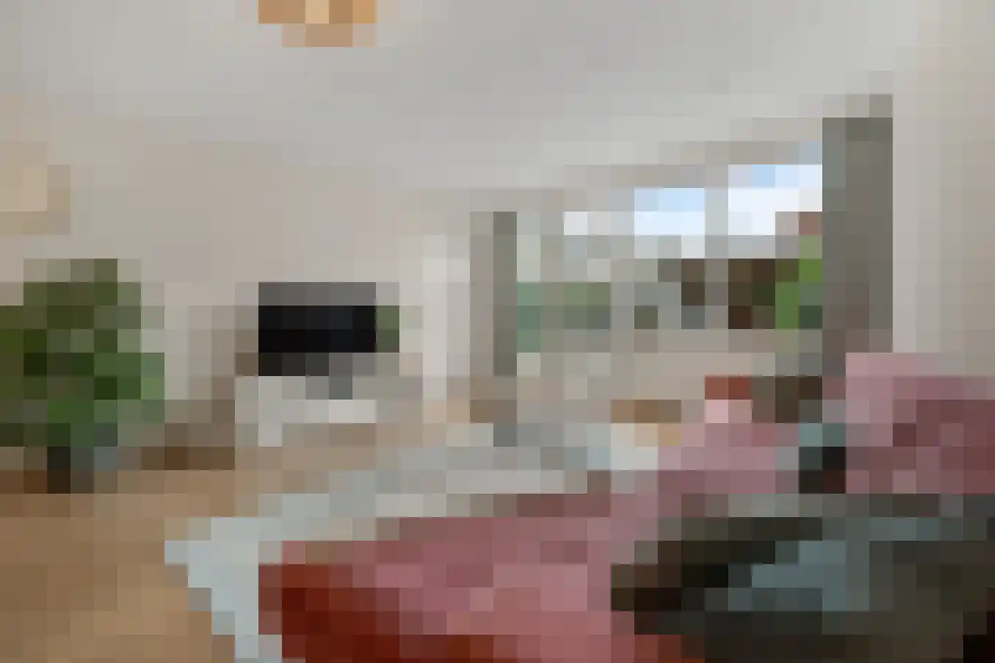 De Waterdief 27 Uitgeest thumbnail 9