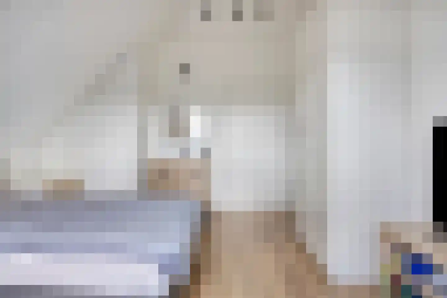 De Waterdief 46 Uitgeest thumbnail 22