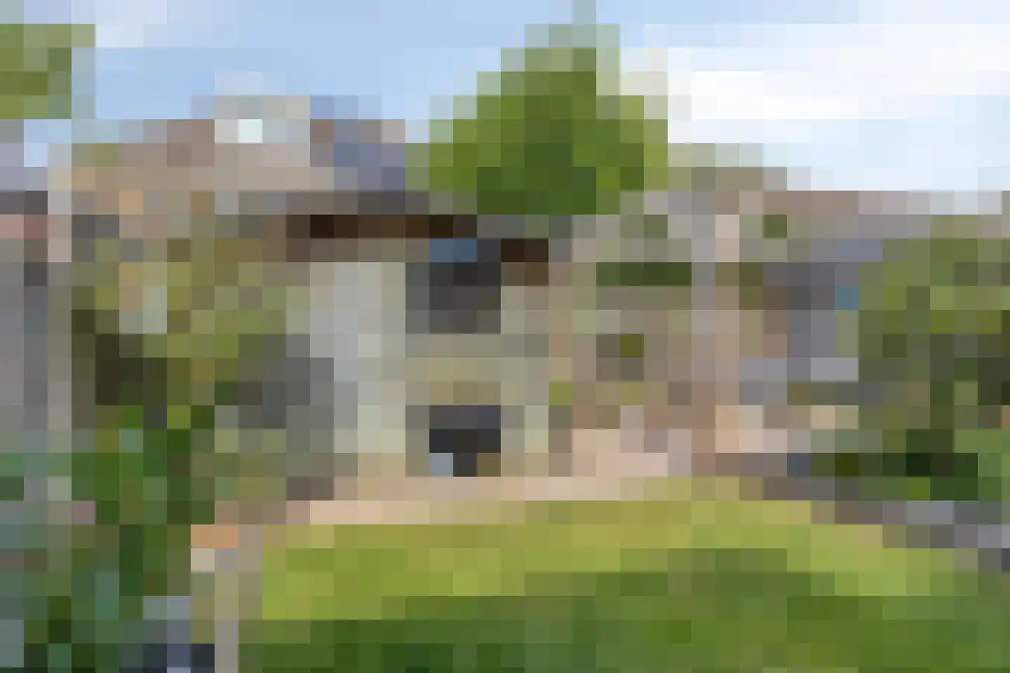 De Waterdief 46 Uitgeest thumbnail 24