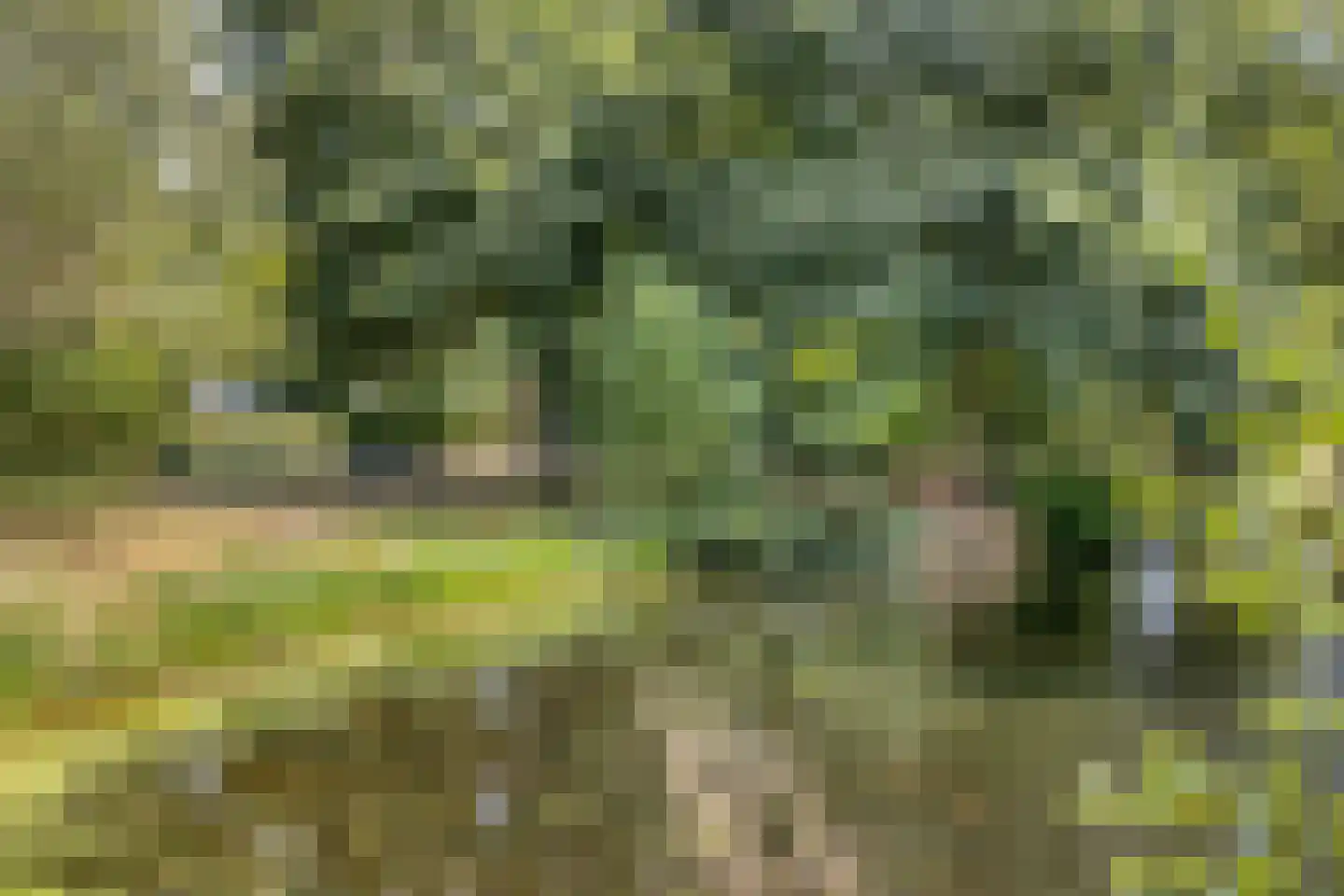De Waterdief 46 Uitgeest thumbnail 33