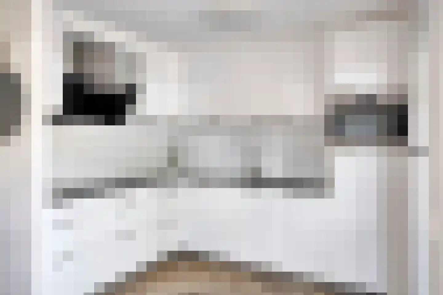 De Waterdief 46 Uitgeest thumbnail 8
