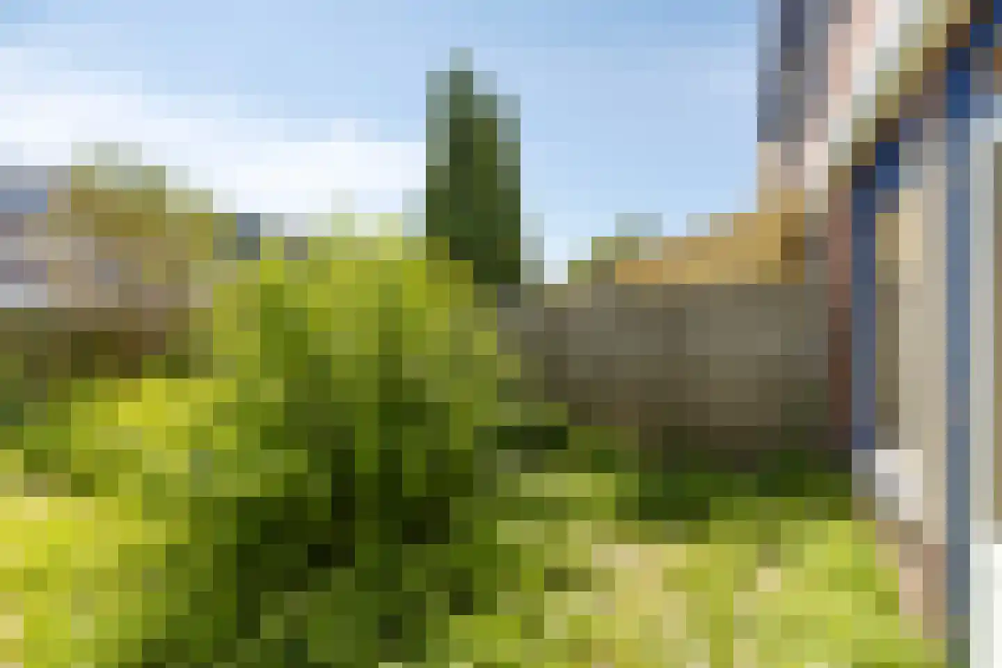 De Waterdief 77 Uitgeest thumbnail 21