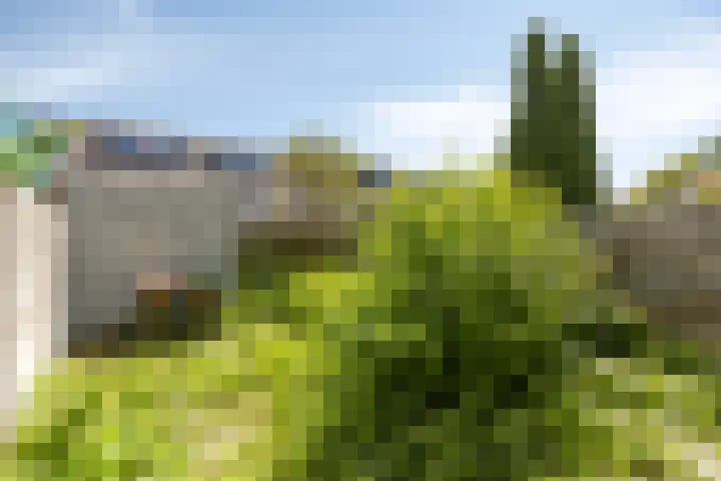 De Waterdief 77 Uitgeest thumbnail 22