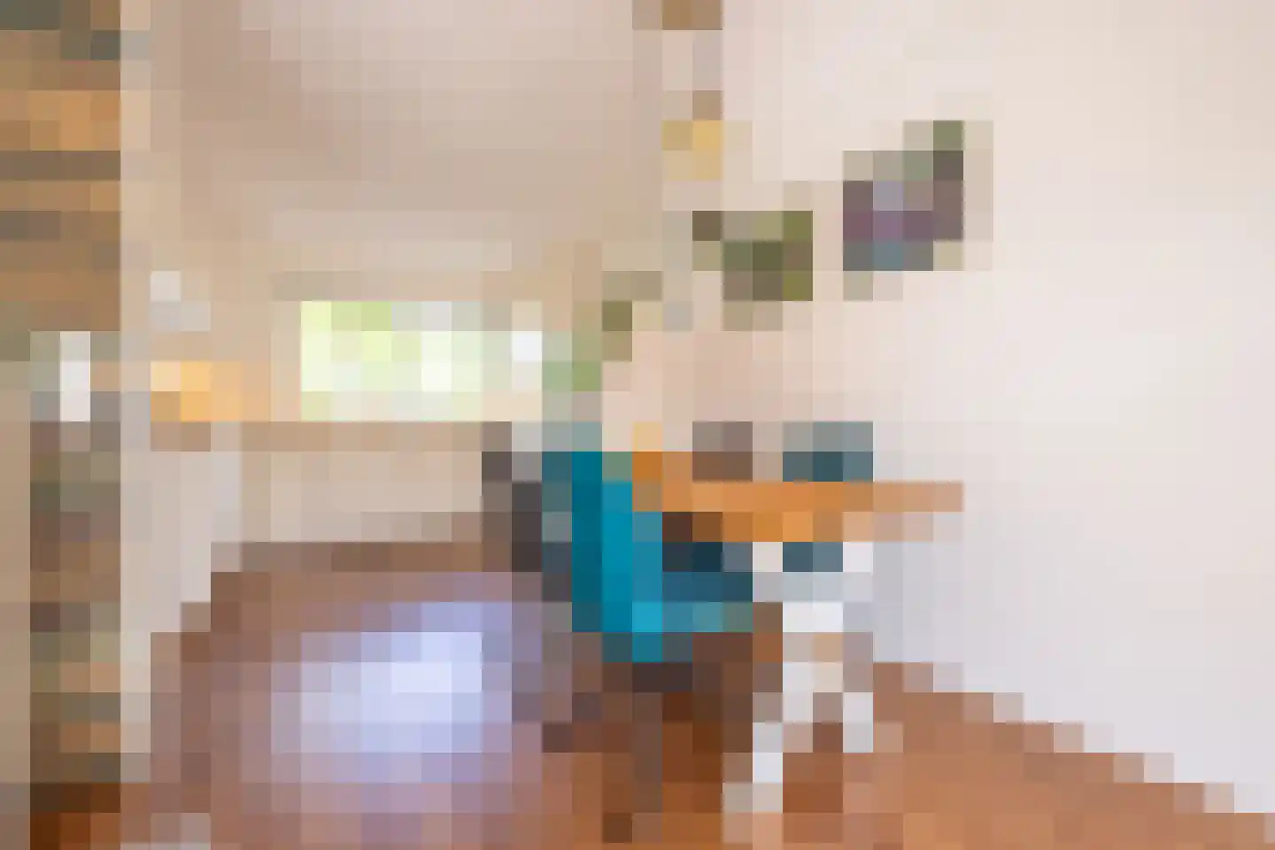 De Waterdief 81 Uitgeest thumbnail 11