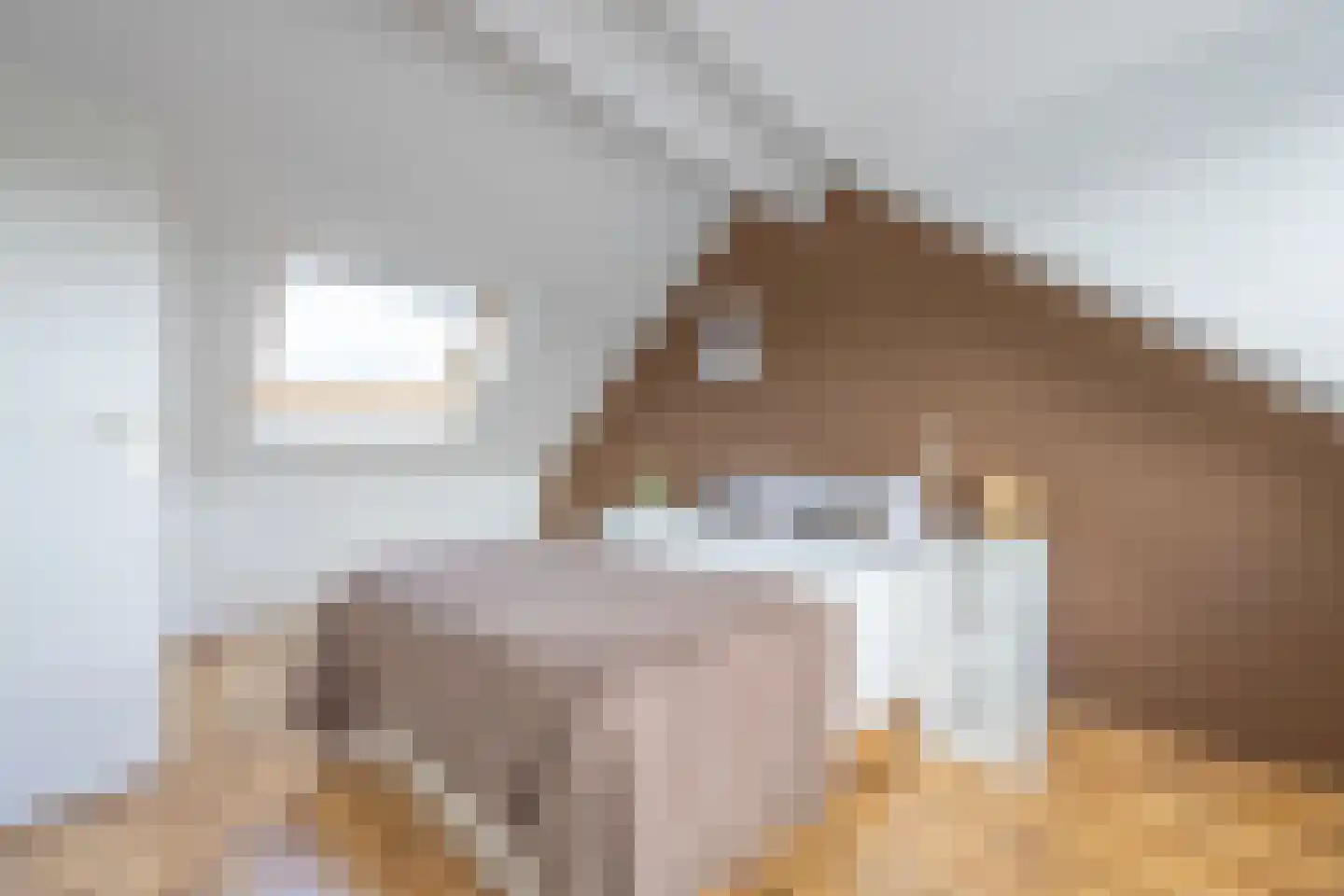 De Waterdief 81 Uitgeest thumbnail 27