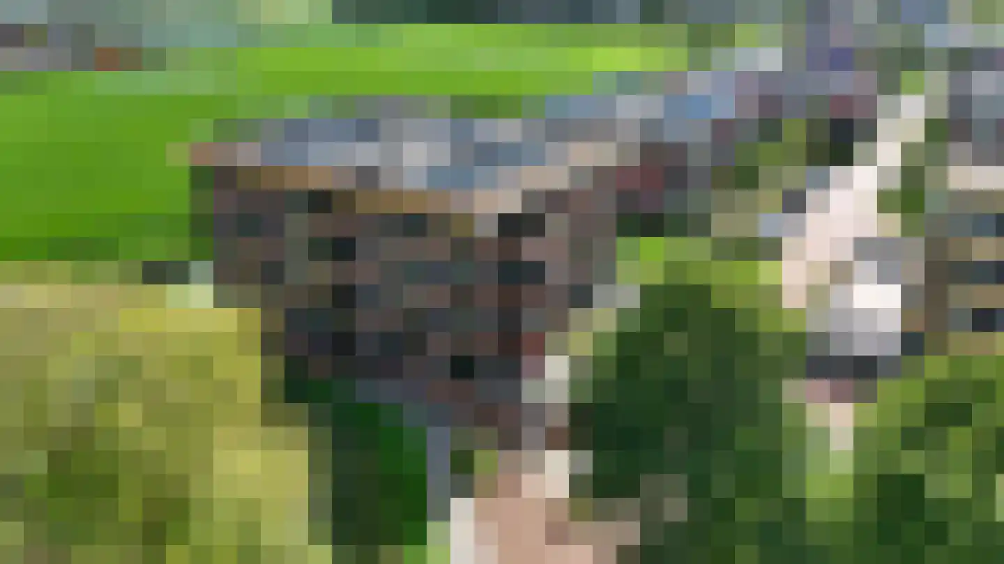 De Watergang 18 c Heiloo thumbnail 35
