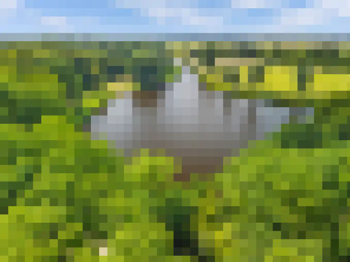 De Watergang 7 Heiloo thumbnail 4