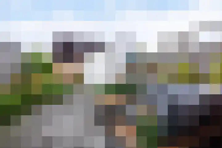 De Waterkamer 138 Apeldoorn thumbnail 4