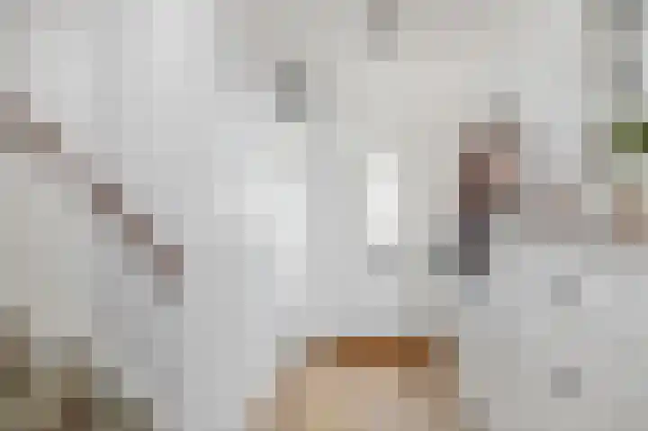 De Waterkamer 150 Apeldoorn thumbnail 8