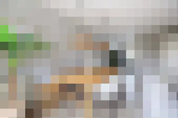 De Waterkamer 40 Apeldoorn thumbnail 10