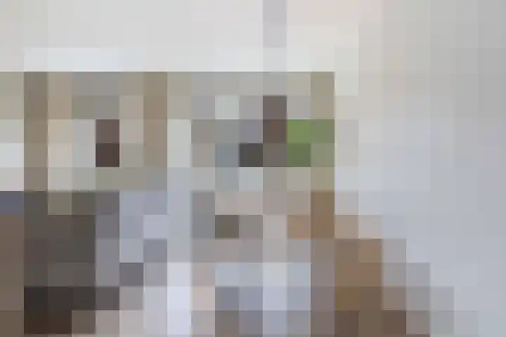 De Waterkamer 40 Apeldoorn thumbnail 9