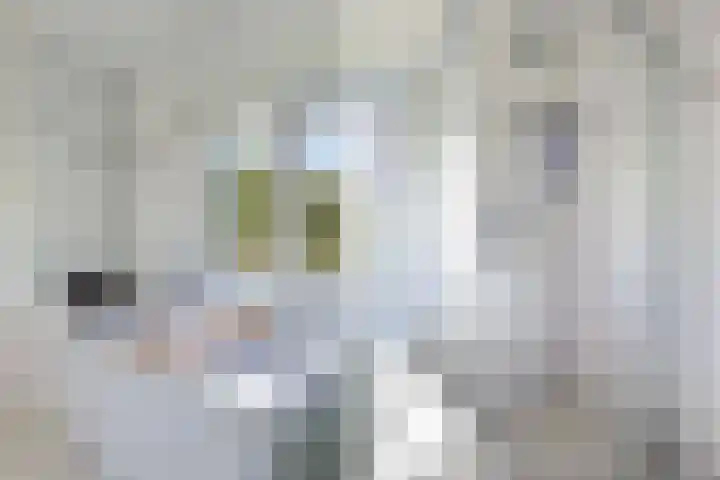 De Waterkamer 56 Apeldoorn thumbnail 21