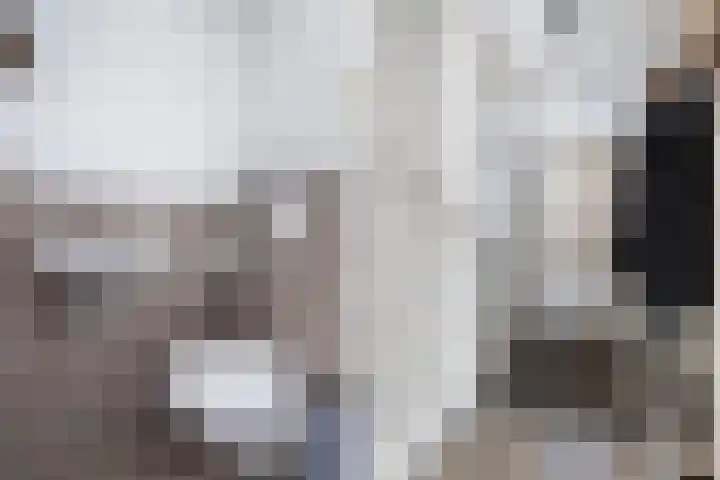 De Waterkamer 92 Apeldoorn thumbnail 7