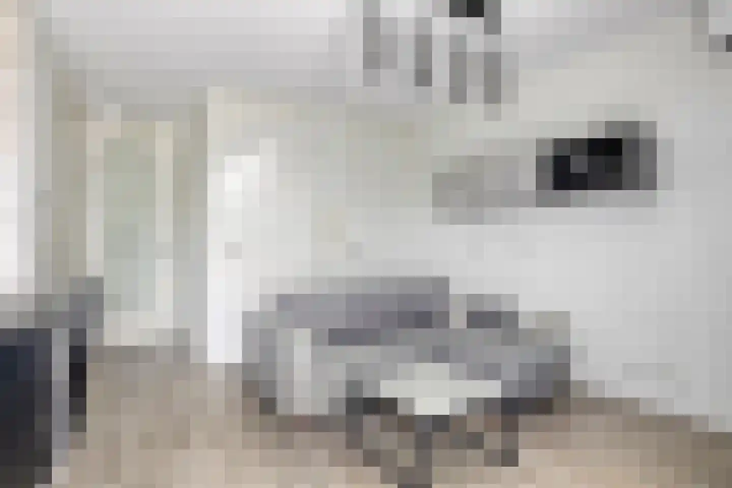 de Waterkuil 12 Ewijk thumbnail 14