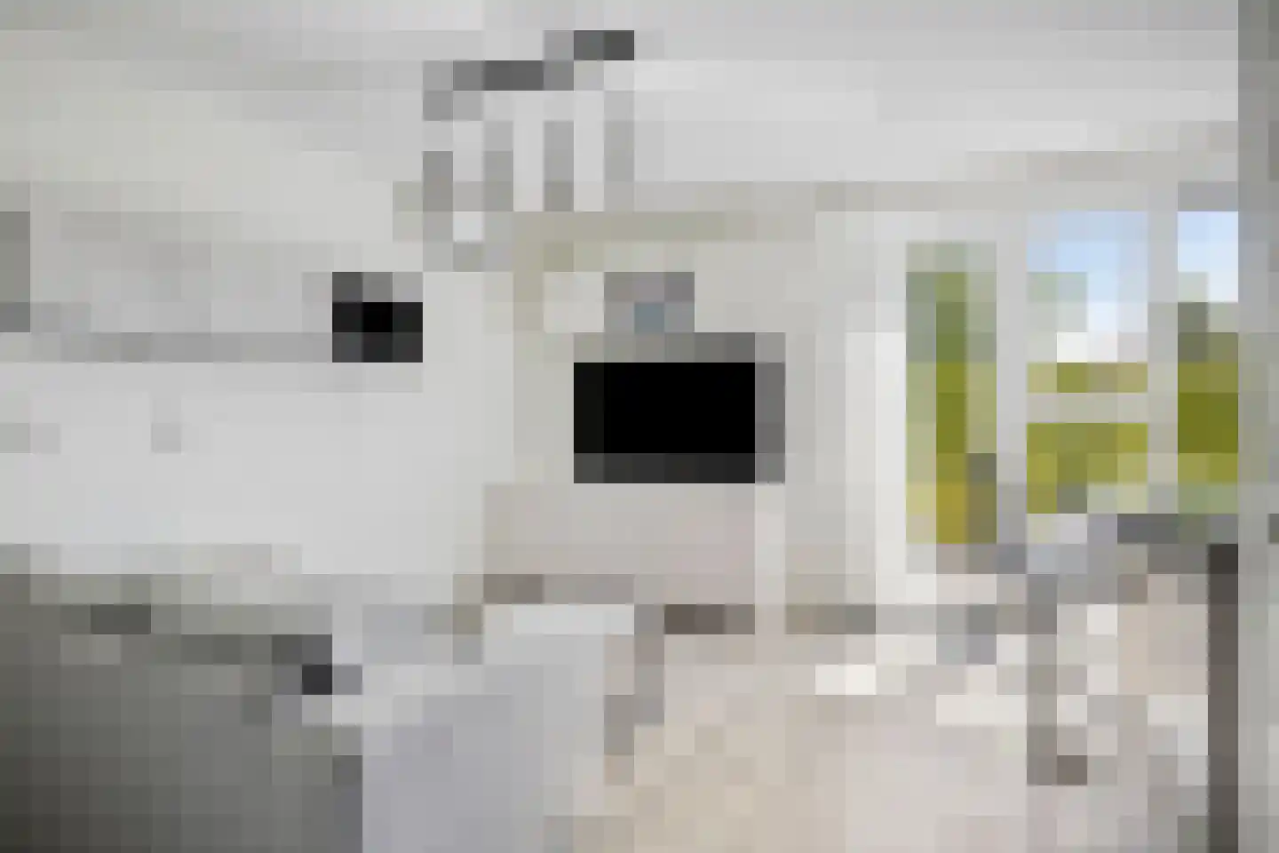 de Waterkuil 12 Ewijk thumbnail 15